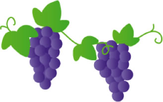ぶどう