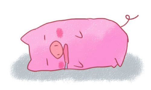 寝ている豚
