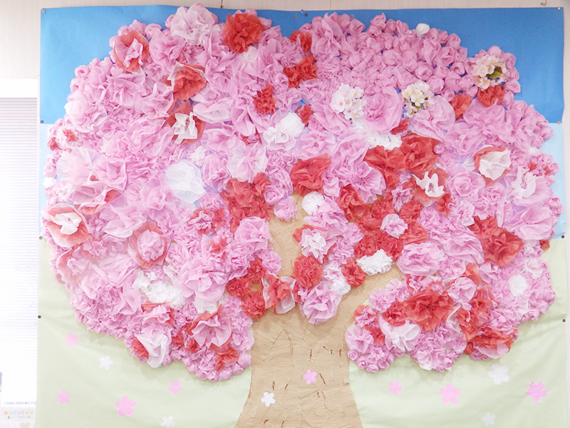 2016桜の壁紙イベント